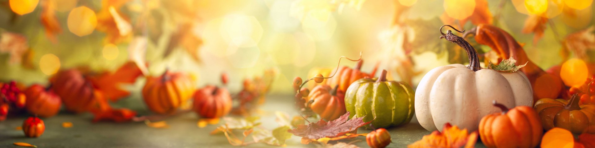 Et farverigt efterårsmiljø med flere forskellige græskar i orange, grøn og hvid. Nogle græskar er små, mens andre er større, omgivet af farverige visne blade. Baggrunden har en blød belysning, der skaber en varm og indbydende stemning.